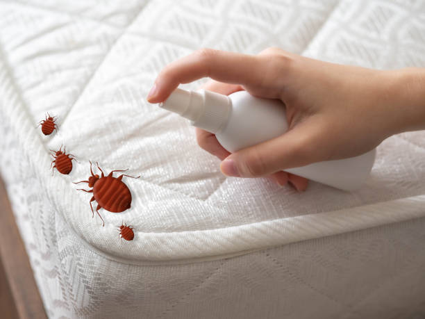 Best Pest Control for Homes  in South Williamsport, PA