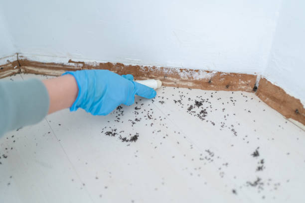 Best Best Pest Control Companies  in South Williamsport, PA