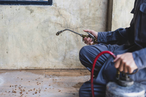 Best Mosquito Control Services  in South Williamsport, PA